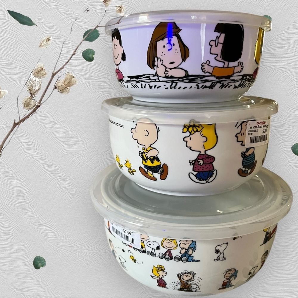 NWT set of 3 ceramic bowls with lids.